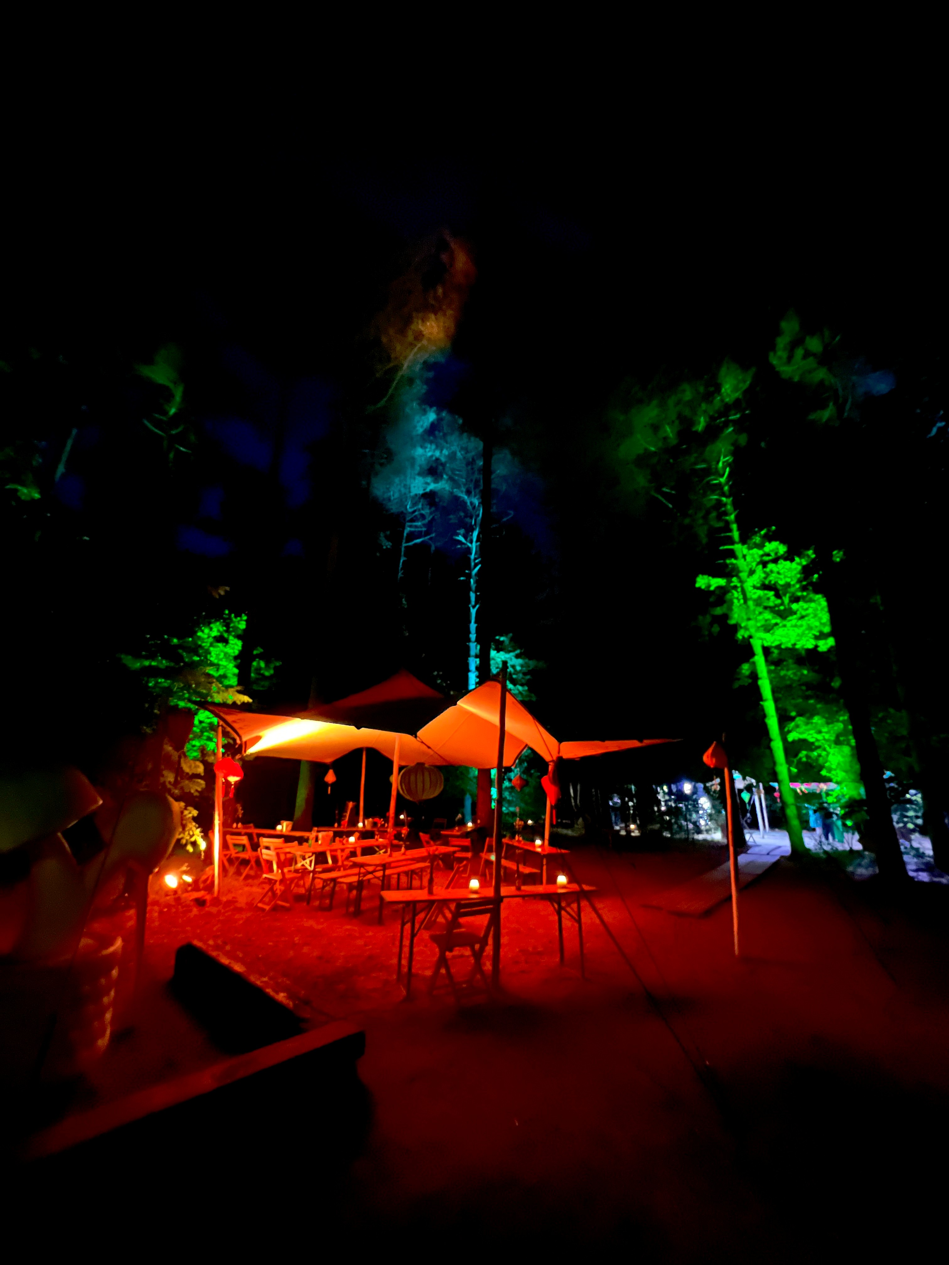 Magische Bosbruiloft met Sfeervolle Verlichting